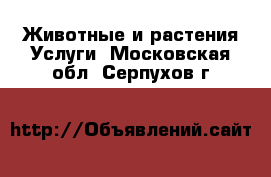 Животные и растения Услуги. Московская обл.,Серпухов г.